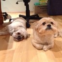 April Chu - @aprilgalera - Twitter