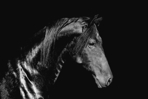 ninoudu65's profile picture. 