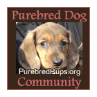 Online Community for Purebred Dogs!