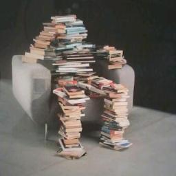 Het boek in al zijn vormen ...