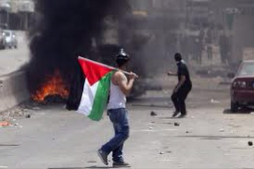 RimkYaniis's profile picture. 