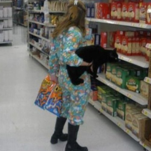 Cat_Lady_Mcgee's profile picture. You like cats? Follow me back. :).