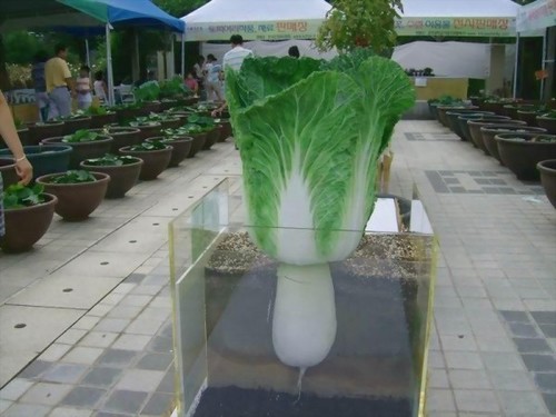 “내일을 이야기 하는 사람” 과 만나라. 
그 사람은 반드시 성공한다.