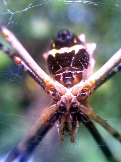 Danielruivo's profile picture. No photoshop, yes light painting.