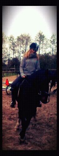 doswk b1, love my horse , friends & family !