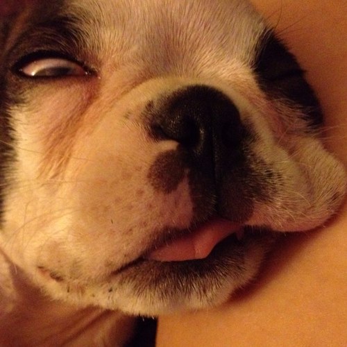 jalukens's profile picture. 