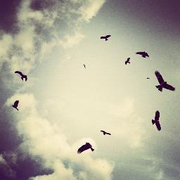 hackedprofile09's profile picture. wat up