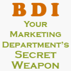 BigDogInnov's profile picture. Your Marketing Department's Secret Weapon... in the New Marketing World!