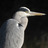 JRAGUJEROS's profile image