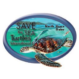 Save The Sea Turtles International is located in the North Shore. Our headquarters is on Chuns Reef, in Lanikea where the Honu swim freely and bask in the sun.