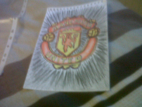i am 13 years old I live in bolton england and I support manchester united