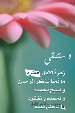 anfal_10's profile picture. استغفر الله