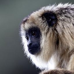 anujbhatia82's profile picture. Cisco Systems