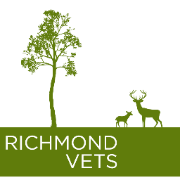 RichmondVets Profile Picture