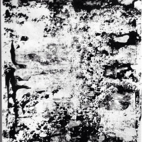 MichaelTDonkin's profile picture. 