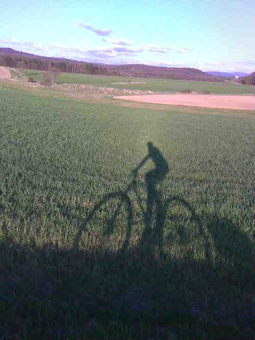 elimaddenvt's profile picture. Father, Web Developer, Cyclist, Gardener