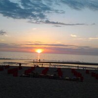 Esther Scherrenburg (@schere1977) 's Twitter Profile