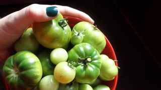 cheerfuljenni's profile picture. Cheerful soul, usually found pottering about with tea in one hand, cake in the other. Likes knitting and flutes and gardens and tea shops.