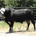 Jim Randle - @JRRCA - Twitter