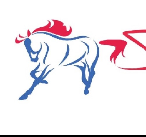 Equine & Animal Learning Centre. We help people achieve their potential through equine learning and retrain and re-home retired and injured racehorses