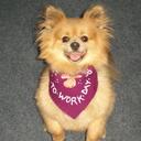 Mary Malin - @MKMalin - Twitter