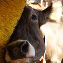 Joan Viñas - @VinasJoan - Twitter