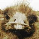 John Truman Carter - @truman_carter - Twitter