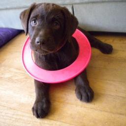 PaigeBrown5's profile picture. 