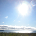 Lynn Maxwell - @lynnmaxwell99 - Twitter