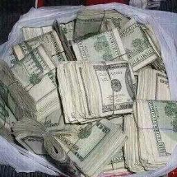 nottoddgensmer's profile picture. From Charlotte N.C. Go Braves, Panthers, Hornets, Hurricanes, Checkers, UNC Tarheels, and Chase Elliott!!