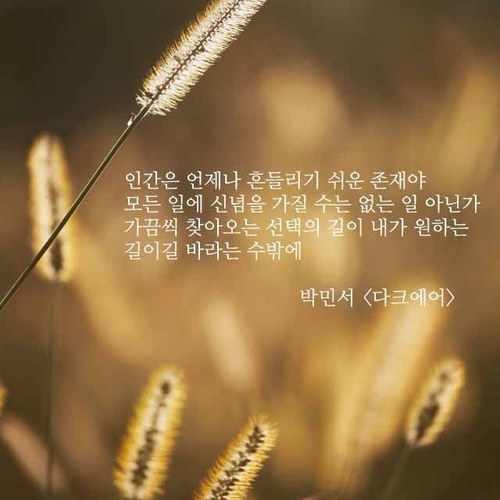 jiyul1001's profile picture. 자신의 생각을 말해보세요..따라쟁이 되지 않기..