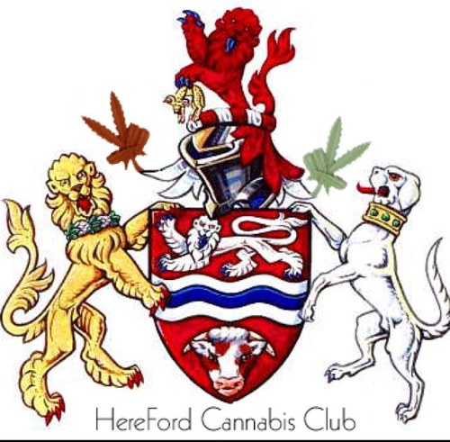 Bringing the truth about cannabis to the people. If you don't know, then it's time to get to know.