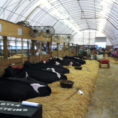 statetrouper's profile picture. 