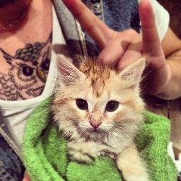 thepaulik's profile picture. fuckin' rocker!