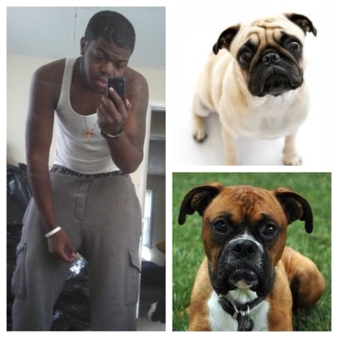 zanee_evst's profile picture. Team-OBAMA*Giants-Nation*Gettn shxt Pappin w\ @obey_dirrah] ***Turn-up*