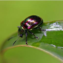 l0ca1hoSt's profile picture. IT Security enthusiast. Ethical Hacker. Reverse Engineer.  OSCP.