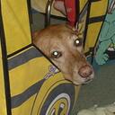 julie bruno - @julierusty - Twitter