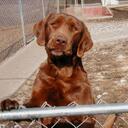 Mary VanBuskirk - @JAdaire_2009 - Twitter