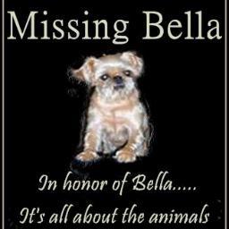 We are Lisa Lauck and Christie Bell.  We are foster moms and animal activists. Our goal is to find homes for shelter dogs and reunite families with lost dogs.