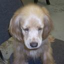 Beth Jarrett - @bjarrett73 - Twitter