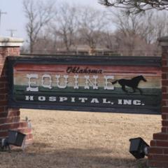 We provide veterinary services, including state of the art rehabilitation for horses and offer superior quality care!