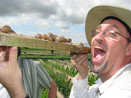 HarveNYC's profile picture. Professional Computer Programmer and Amateur Photographer. Most Definitely Not my Namesake, The Disgraced Movie Producer