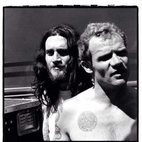 dallodia's profile picture. 