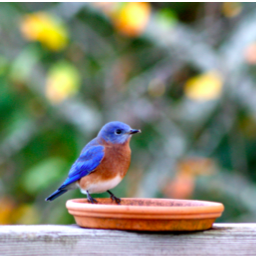 KimKellarVick's profile picture. “In three words I can sum up everything I've learned about life: it goes on.”
― Robert Frost