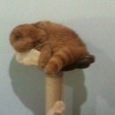 Inma Navarro - @InmaMinb85 - Twitter