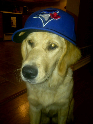 steebnotsteve's profile picture. 