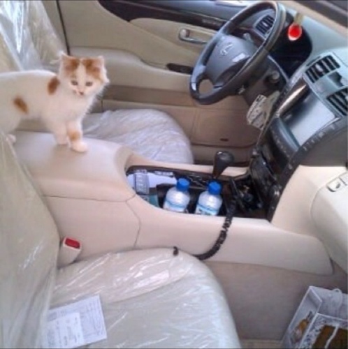 مكة ...