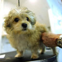 Noel Evans - @NoelEvans3 - Twitter