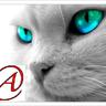 Mrxelatheist's profile picture. המחזיר בשאלה
an israely atheist/antitheist. proisrael. zionist. join me on facebook.