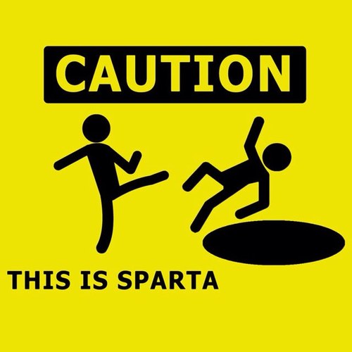 RobSwag98's profile picture. I like turtles